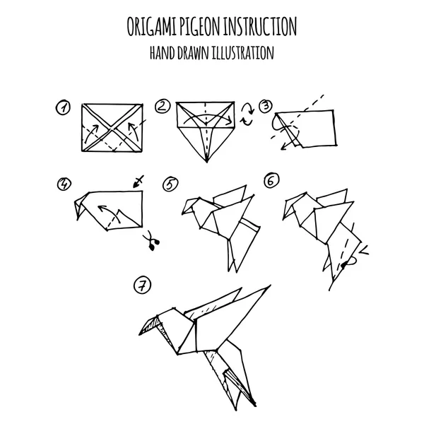 Taube Origami Schritt Für Schritt Anleitung Stockvektor