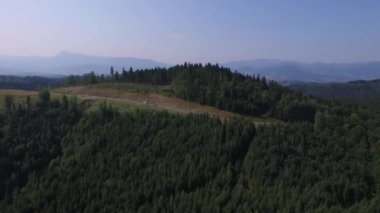 Hava Karpat dağ. Orman