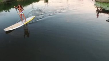 Havadan çekilen Sup board kayak. Dnipro Nehri Ukrayna. Günbatımı