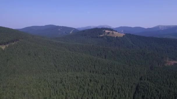 Luchtfoto berg van de Karpaten. Forest — Stockvideo