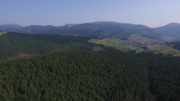 Aerial Carpathian mountain. Forest — Stock Video