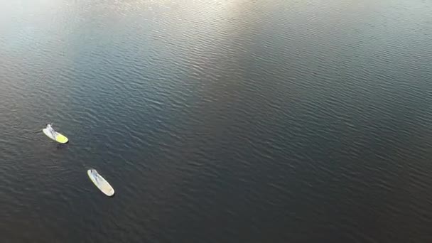 空中ショットサップボードスキー。ドニプロ川 ウクライナ日没 — ストック動画