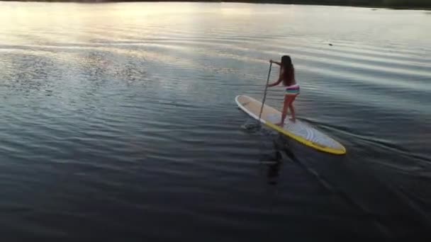 Aerial shot SUP board skiing. Dnipro River Ukraine. SunSet — Stock Video