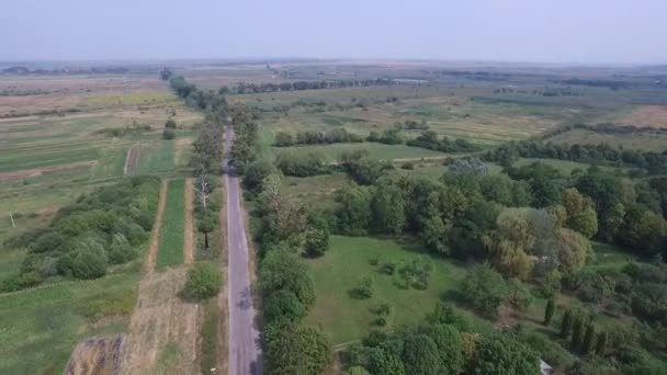 Воздушная дорога между полями. Украина — стоковое видео