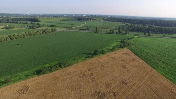 Volando sobre los campos y la carretera. Disparo aéreo — Vídeos de Stock