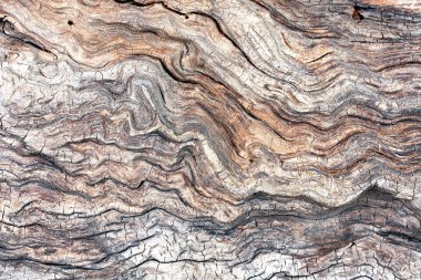 Doğal ahşap dokusu