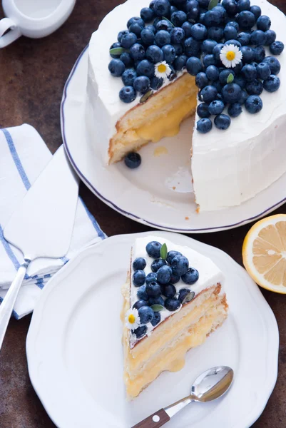 Limonlu üzümlü kek — Stok fotoğraf