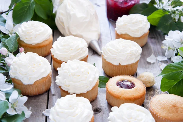 Cupcakes with butter cream and spring white flowers — Stock Photo, Image