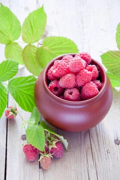 Fresh organic raspberries — Stock Photo, Image