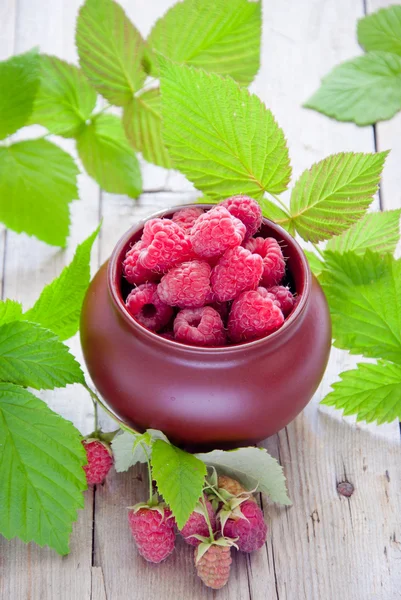 Fresh organic raspberries — Stock Photo, Image