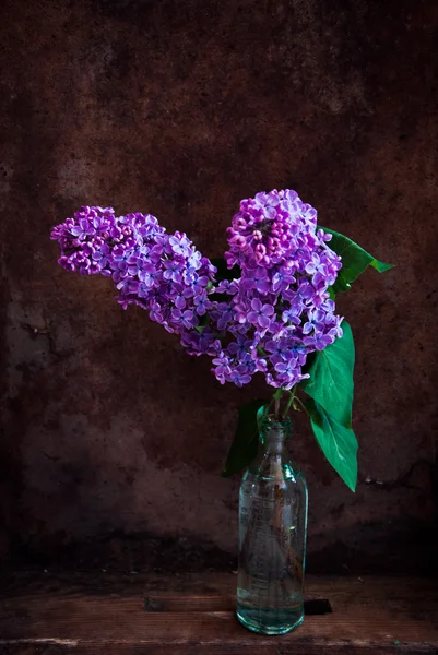 Orgonák a váza — Stock Fotó