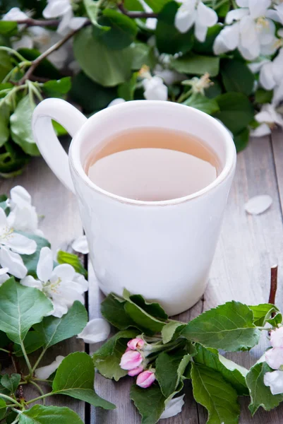 Bir fincan çay ve bahar çiçekleri — Stok fotoğraf