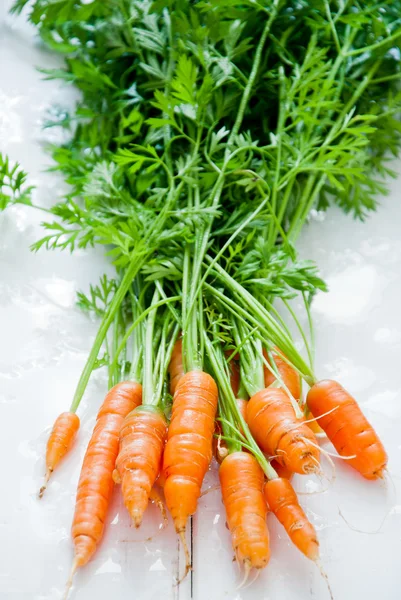 Manojo de zanahorias frescas — Foto de Stock