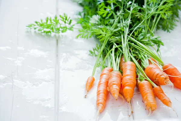 Manojo de zanahorias frescas — Foto de Stock