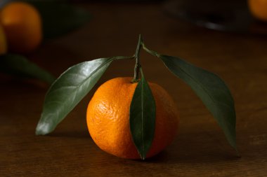 Masada mandalina şube