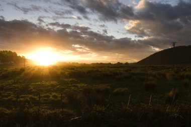 Curio defne alan manzara