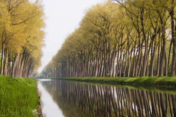 Kanal Bruges, Flanders, Belçika