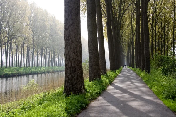 Kanal Bruges, Flanders, Belçika