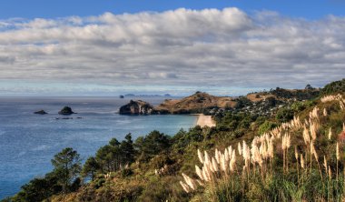 Yeni Zealands Coromandel bölgesi