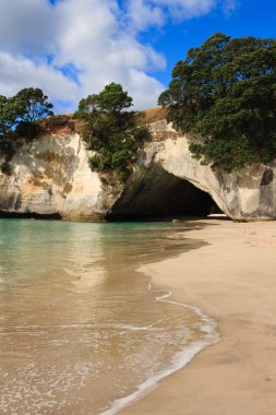 Katedral Cove Coromandel Arch