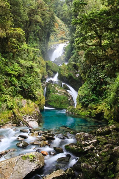 Fluxo de floresta tropical Paisagem — Fotografia de Stock