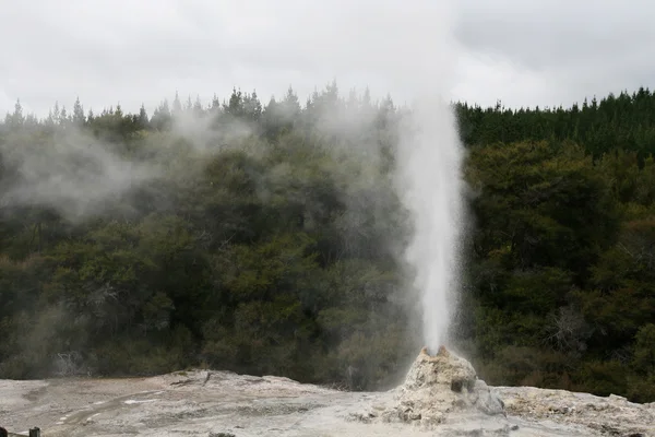 Erupting Geyser Paisagem — Fotografia de Stock