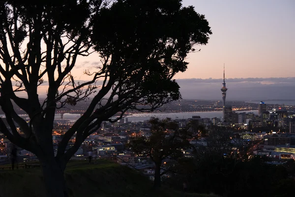 Auckland city på natten — Stockfoto