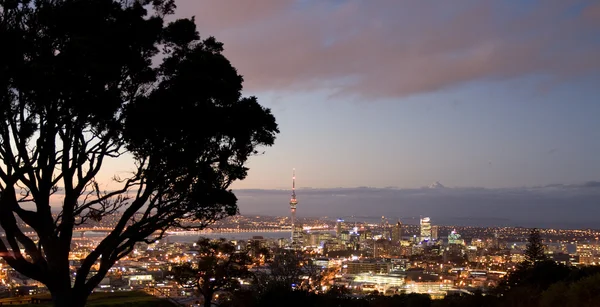 Auckland city på natten — Stockfoto