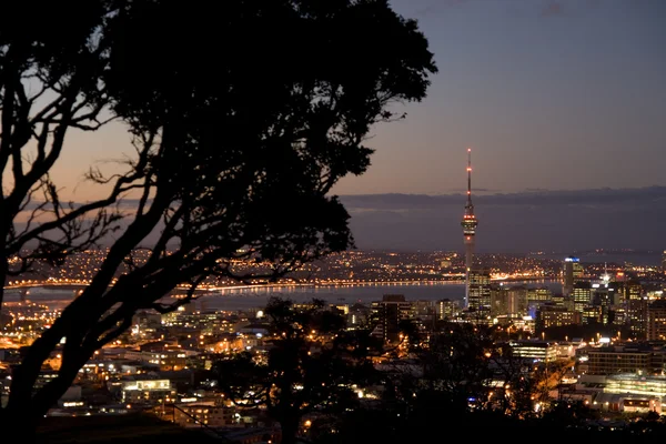 Auckland city's nachts — Stockfoto