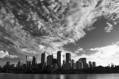 Sydney siyah ve beyaz