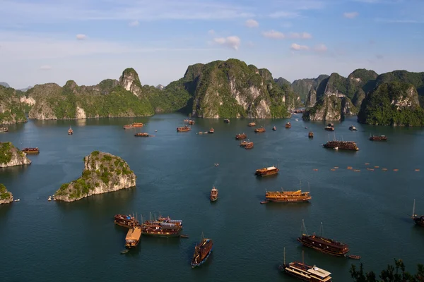 Halong bay tekneler