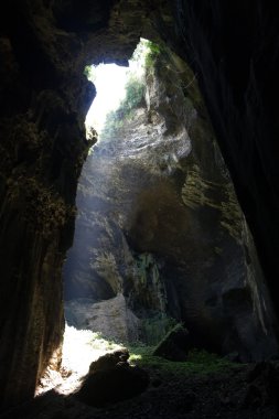 Borneo Swift yuva mağara