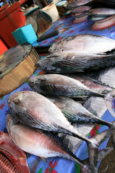Puesto de Mercado de Pescado — Foto de Stock