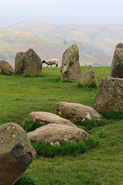 Pedras Castlerigg Close-Up — Fotografia de Stock