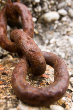 Paslı zinciri makro