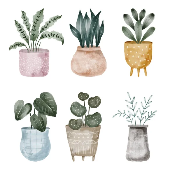 Boho Suluboya Saksı Bitkileri Ayrı Elementler Ayarlandı