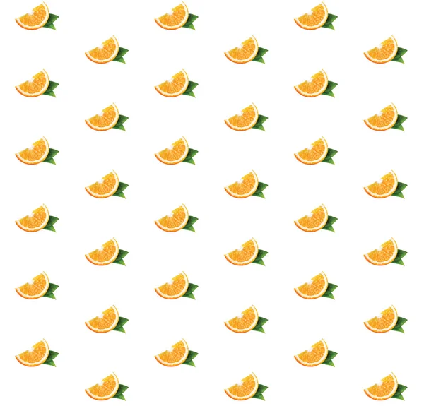 Modèle avec des oranges — Image vectorielle