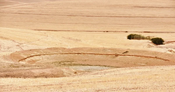 A terra seca — Fotografia de Stock