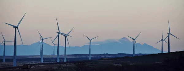 Sabah parkta Rüzgar