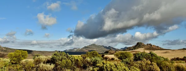 Fynbos y montañas — Foto de Stock