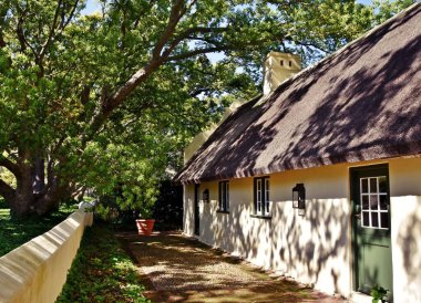 Hugh Kafur ağaçlarının altındaki küçük bir Hollanda Burnu kulübesini kapatın.