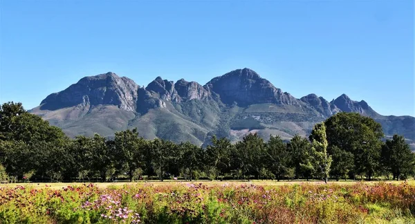 Paisagem Com Prado Flores Montanhas Fundo — Fotografia de Stock