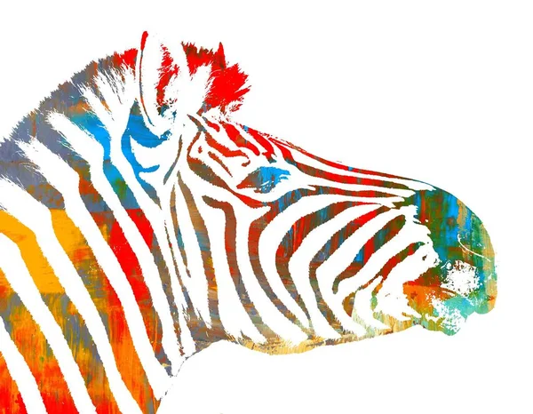 Colorat Zebra Portret Abstract — Fotografie, imagine de stoc