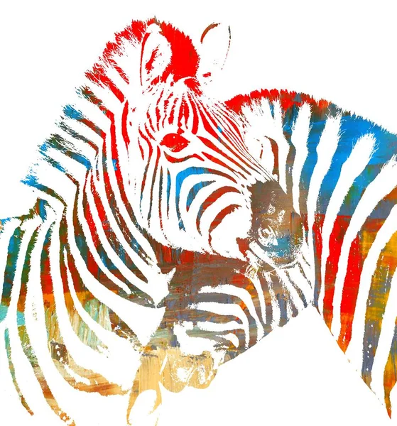 Kleurrijk Portret Van Twee Zebra Abstract Stockfoto