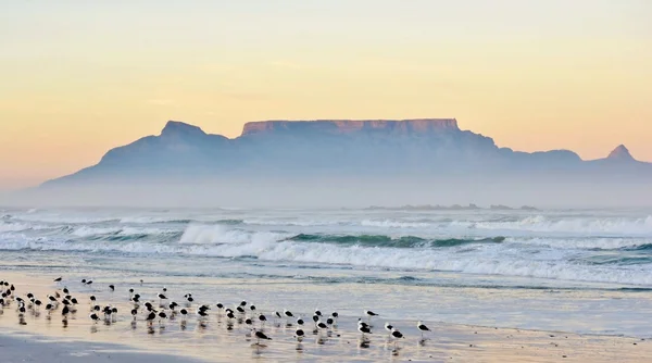 Sunrise, Masa Dağı