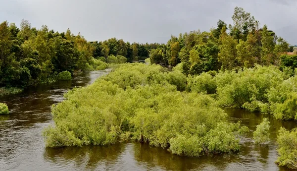 Tabell bergslandskap — Stockfoto