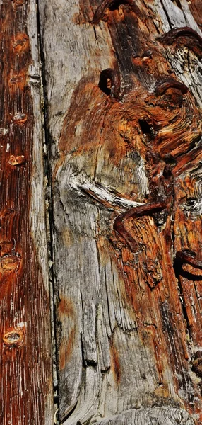 Close up of Drift wood — Stock Photo, Image