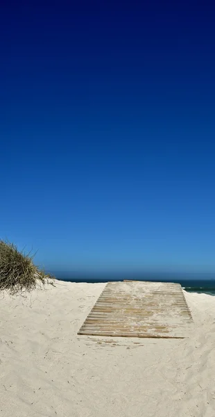 Langverwachte weergave — Stockfoto