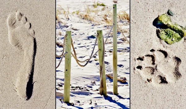 Lo que encuentras en la playa — Foto de Stock