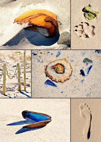 Quello che trovi sulla spiaggia — Foto Stock